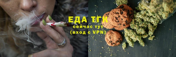 индика Коряжма