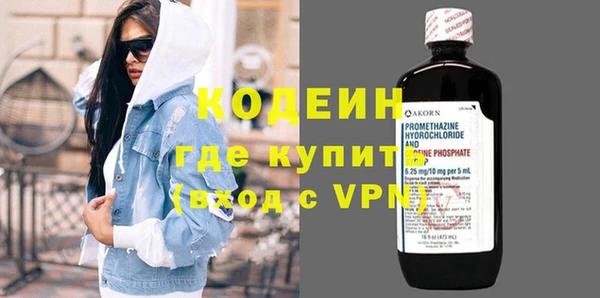 индика Коряжма