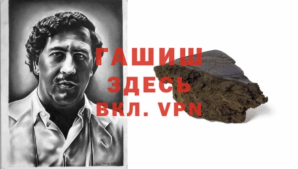 индика Коряжма