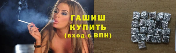 стафф Осинники