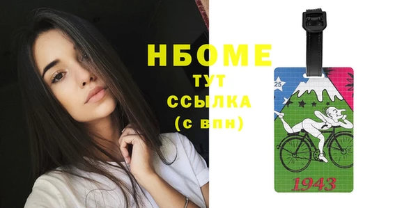 индика Коряжма