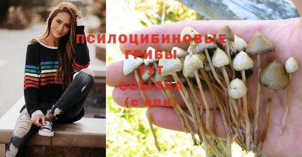 МДПВ Краснотурьинск