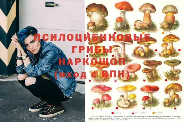 дживик Костерёво