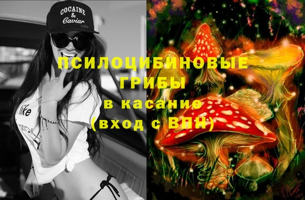 дживик Костерёво