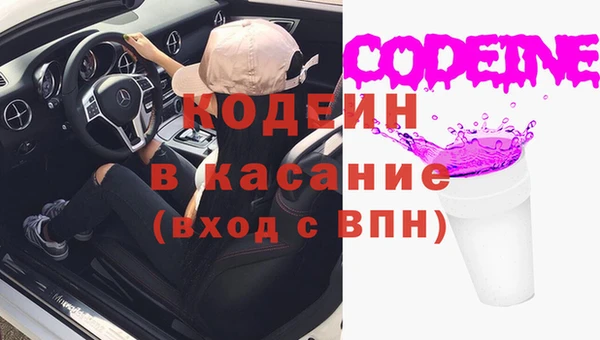 индика Коряжма