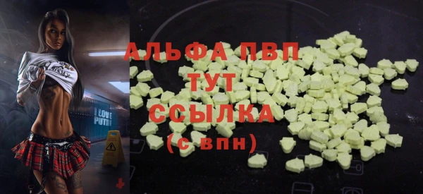 индика Коряжма
