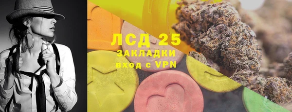 дживик Костерёво