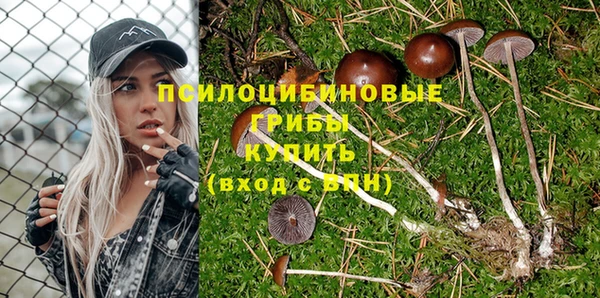 spice Кулебаки