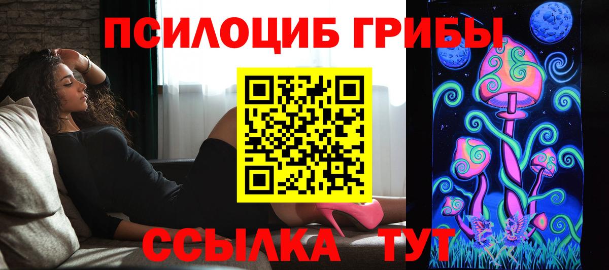 Красный Сулин  Псилоцибиновые грибы прущие грибы  Галлюциногенные грибы Psilocybine cubensis  Вход с VPN 
